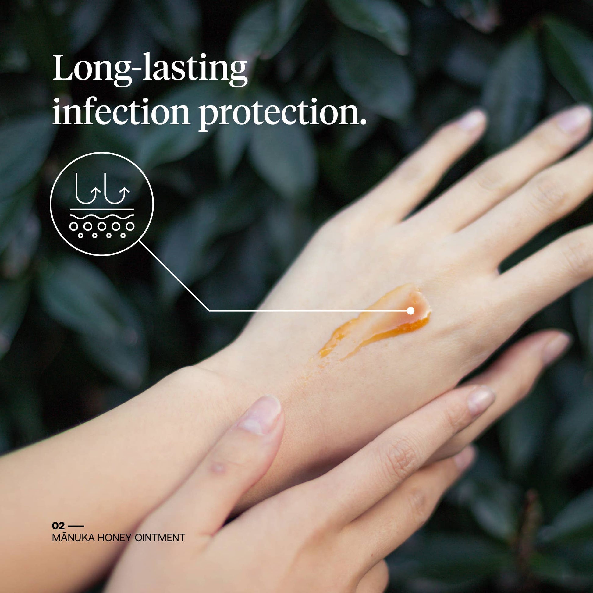 First Honey® Manuka Wound Ointment for protection