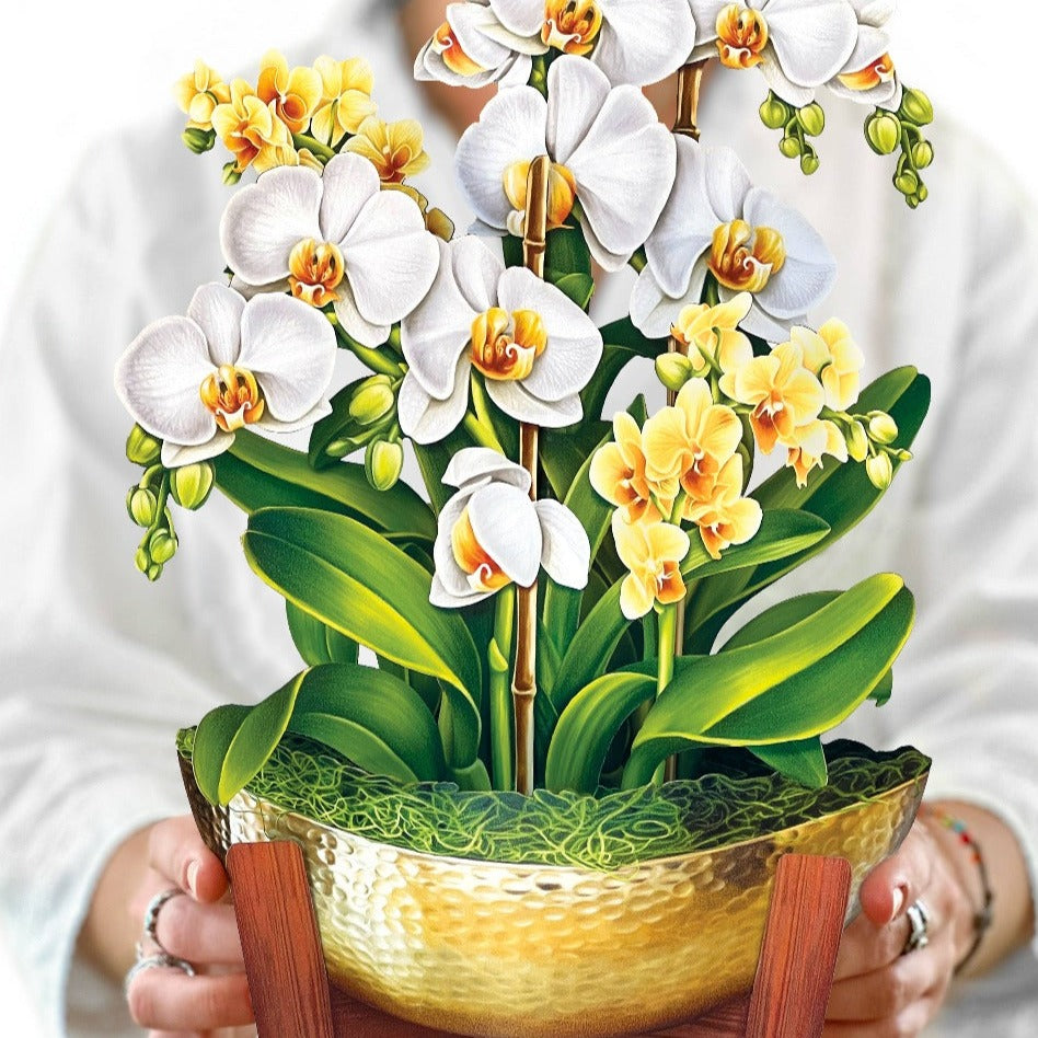 Serenity Orchid Pop-up Greeting Card