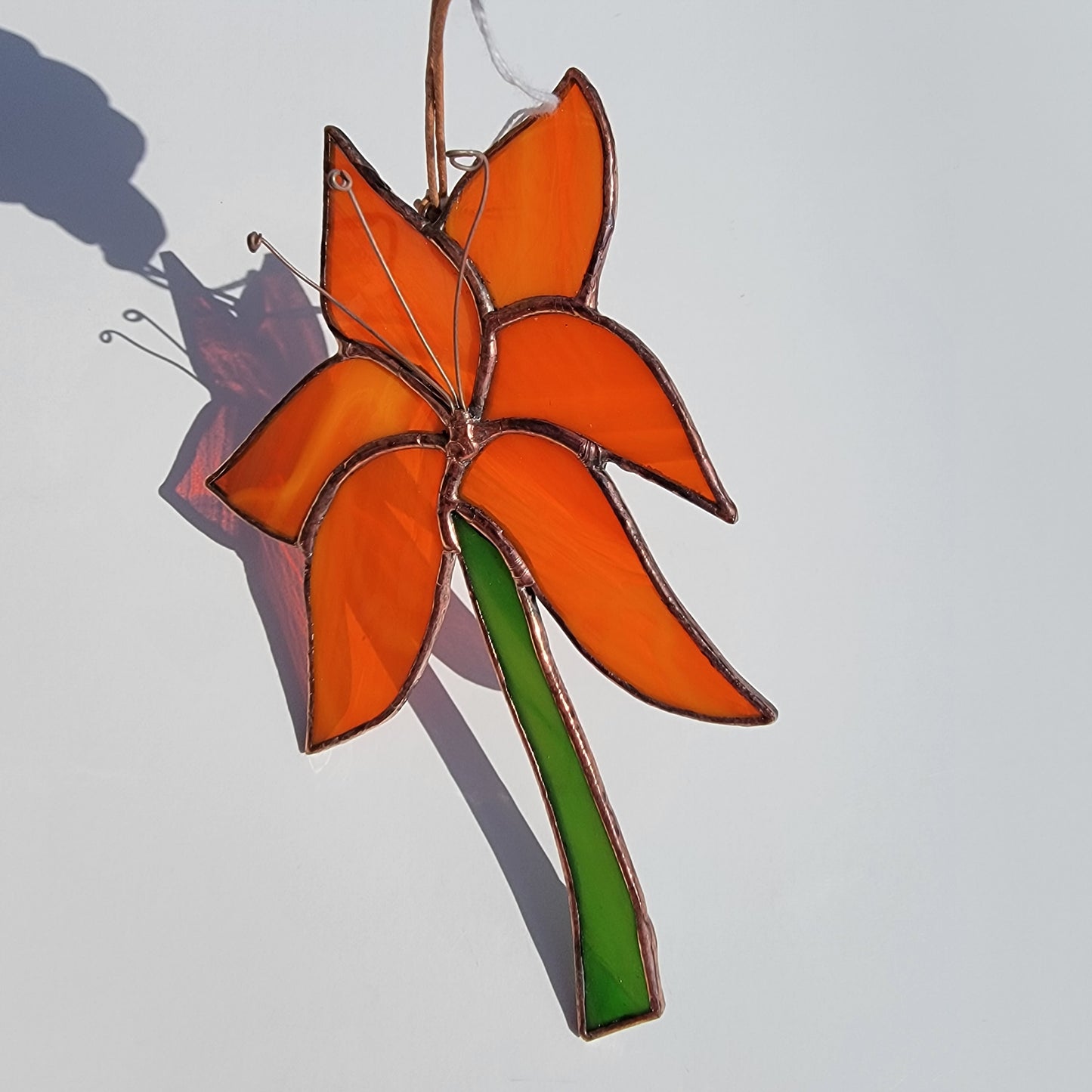 Lily flower