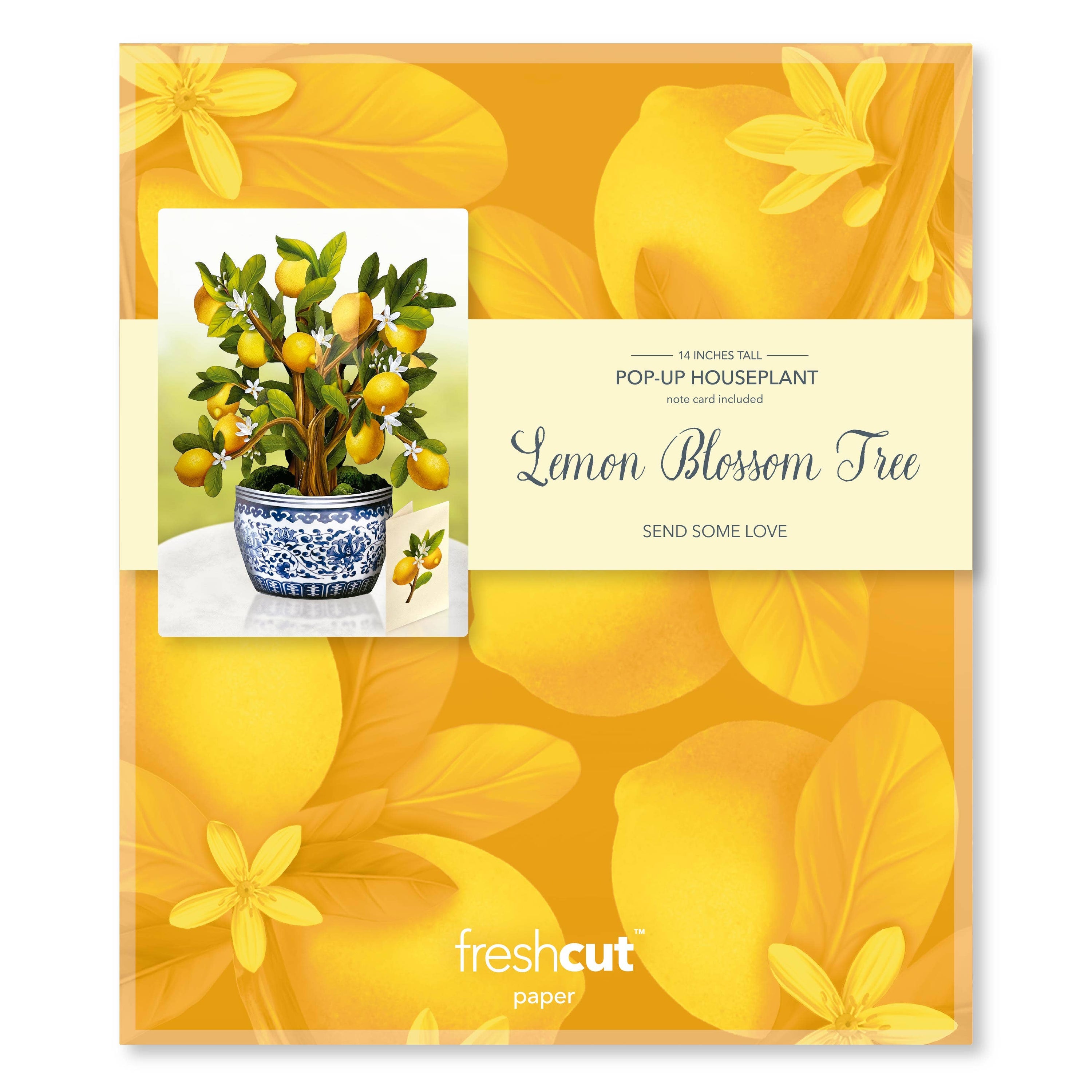 Lemon Blossom Tree Pop-up Greeting Card, perfect for curated gift boxes and Build a Box gifting (lifestyle photo)