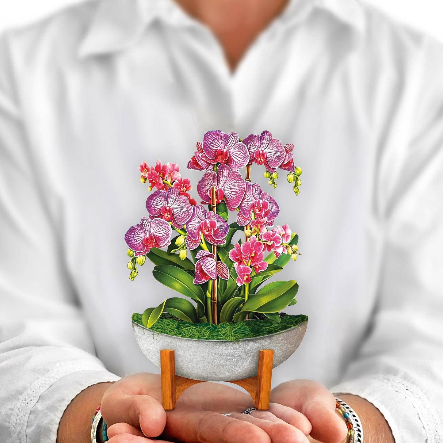 Mini Orchid Oasis Pop-up Greeting Card
