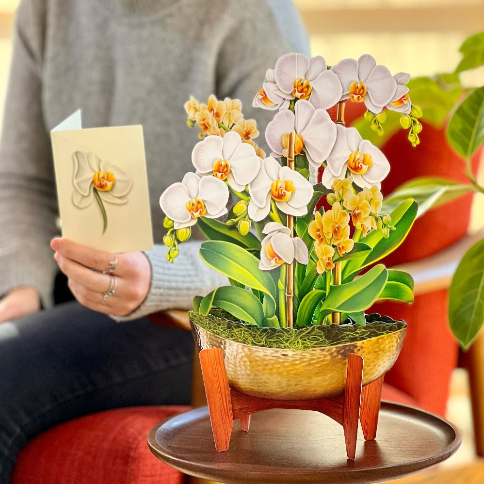 Serenity Orchid Pop-up Greeting Card