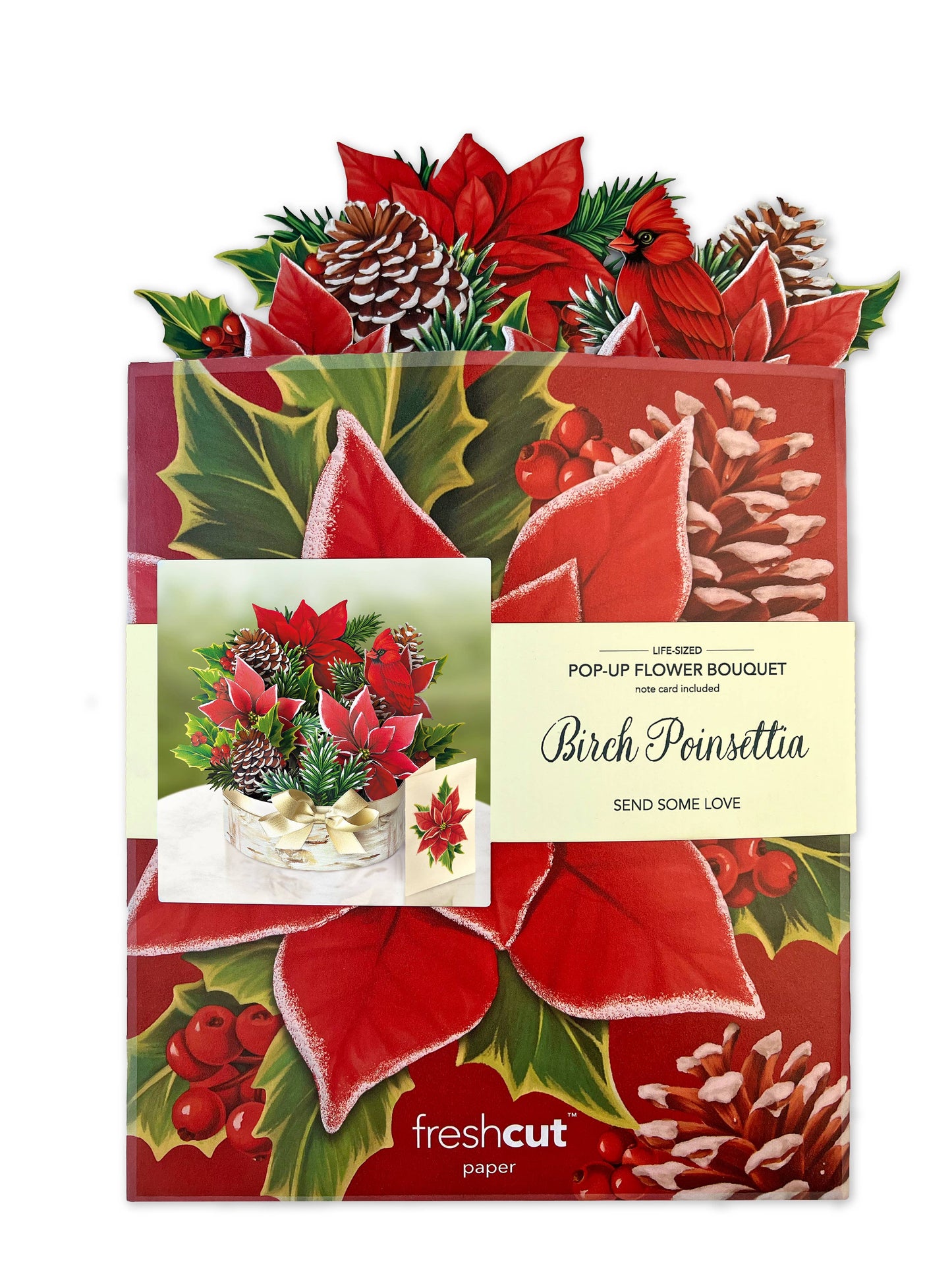 Birch Poinsettia Pop-Up Greeting Card