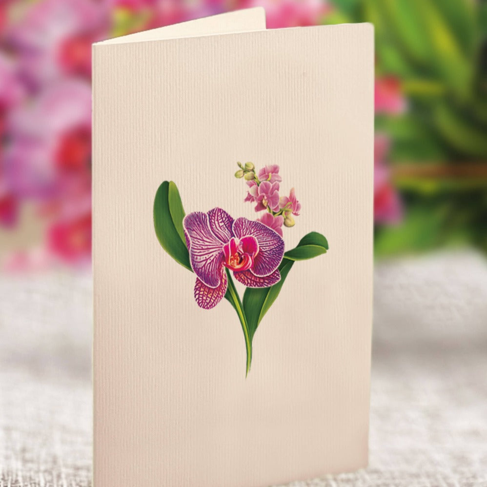 Mini Orchid Oasis Pop-up Greeting Card