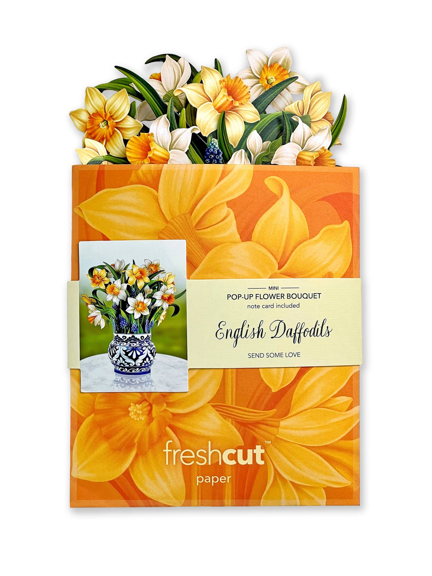 Mini English Daffodil Mini Pop-up Greeting Card