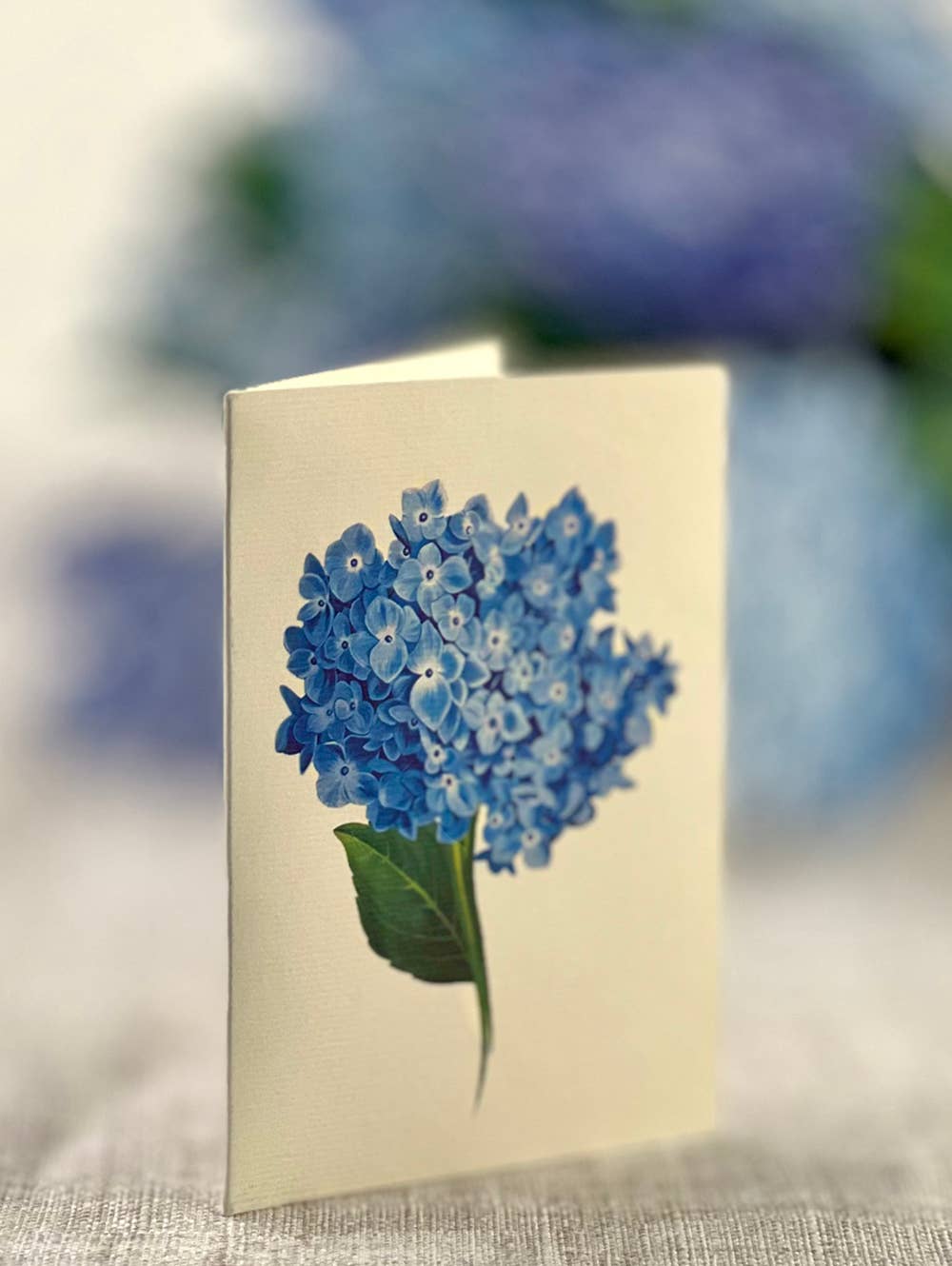 Nantucket Hydrangeas Pop-up Greeting Cards