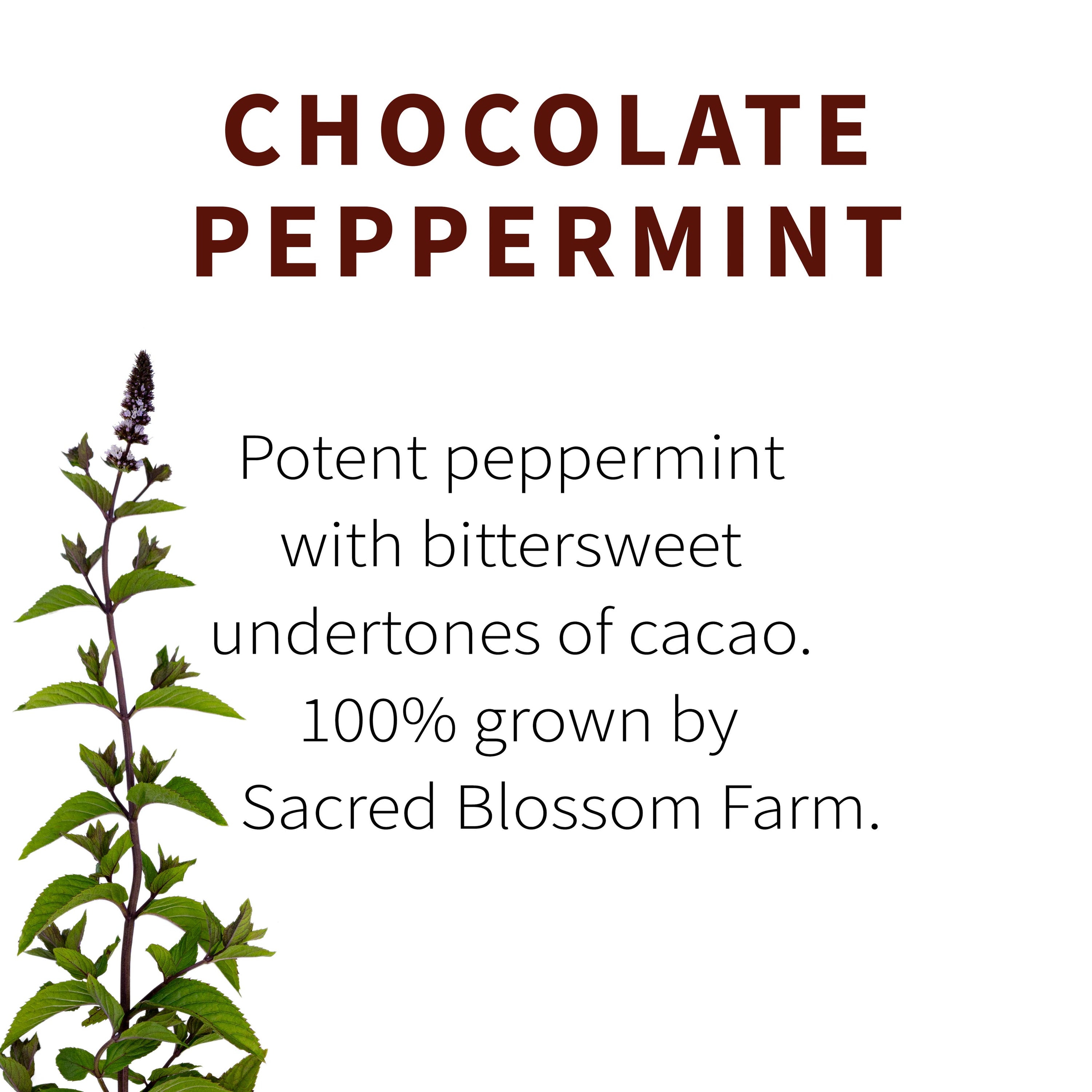 Chocolate Peppermint Herbal Tea — loose leaf gourmet tea, perfect for gourmet gift boxes and curated gift boxes (detail shot)
