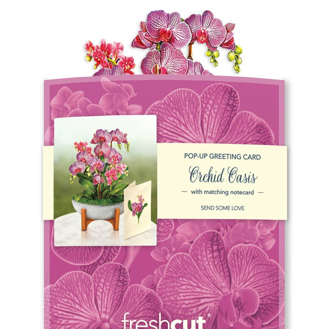 Mini Orchid Oasis Pop-up Greeting Card
