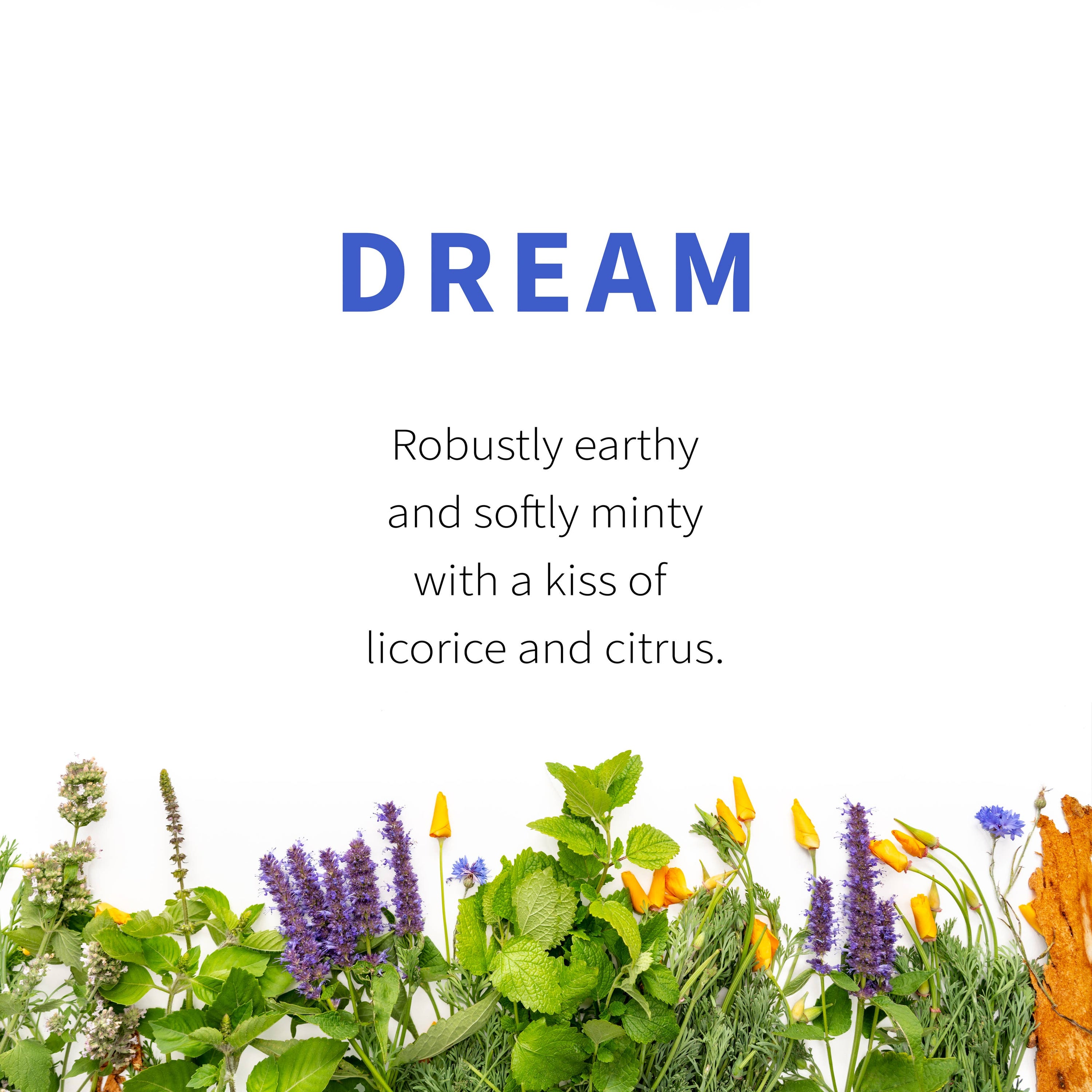 Dream Herbal Tea - Sacred Blossom Farm — loose leaf gourmet tea, perfect for gourmet gift boxes (lifestyle photo)