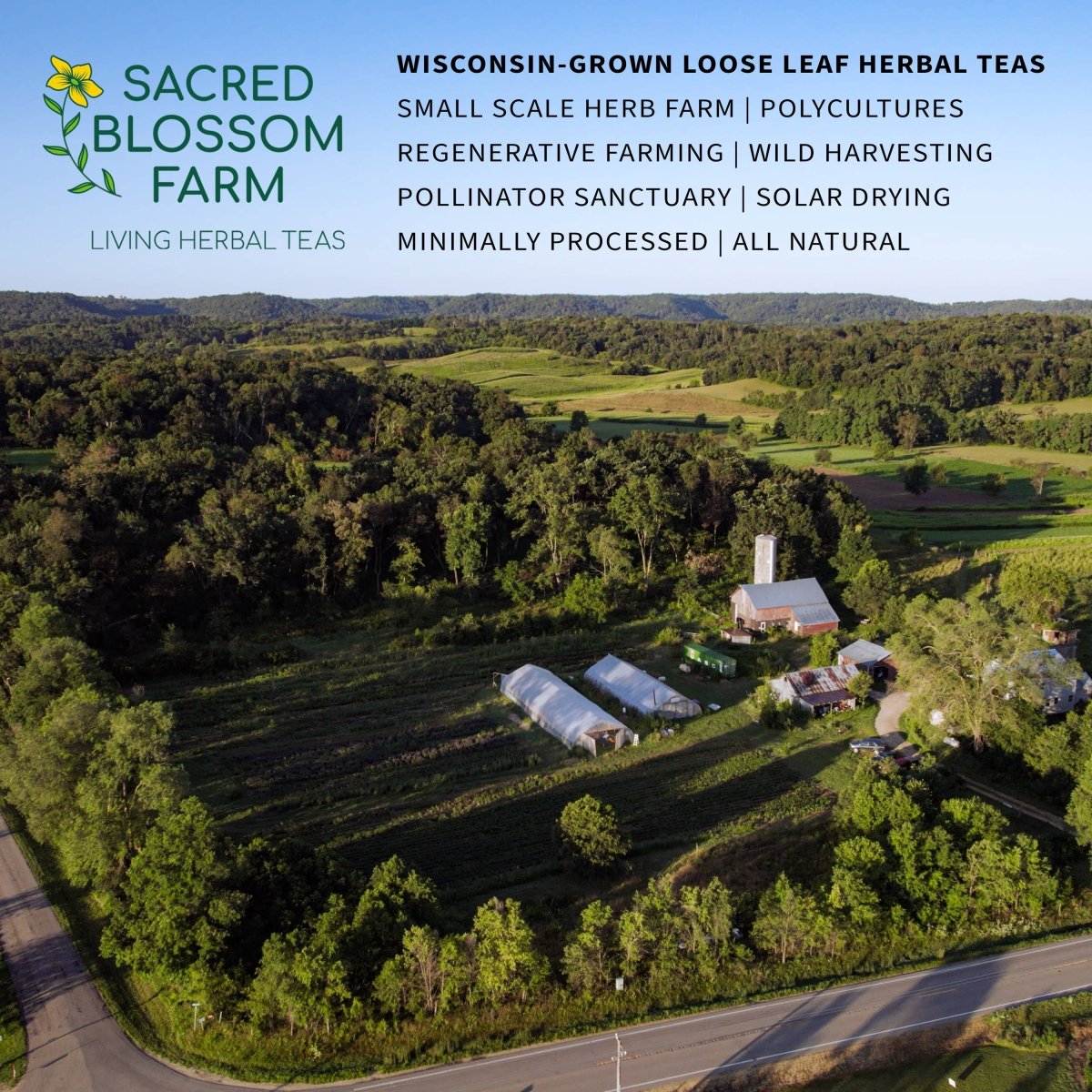Dream Herbal Tea - Sacred Blossom Farm - category:Food & Drink -