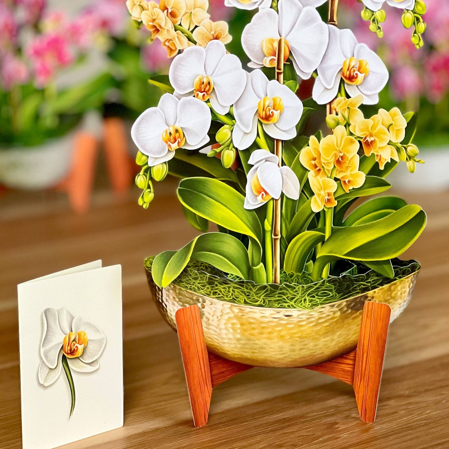 orchid popup card