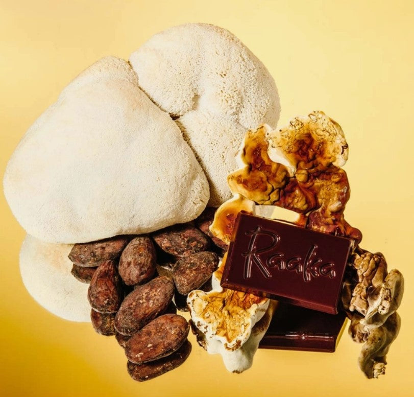 Cocoa Magic Mushroom Blend - Adaptogen Hot Chocolate drink mix