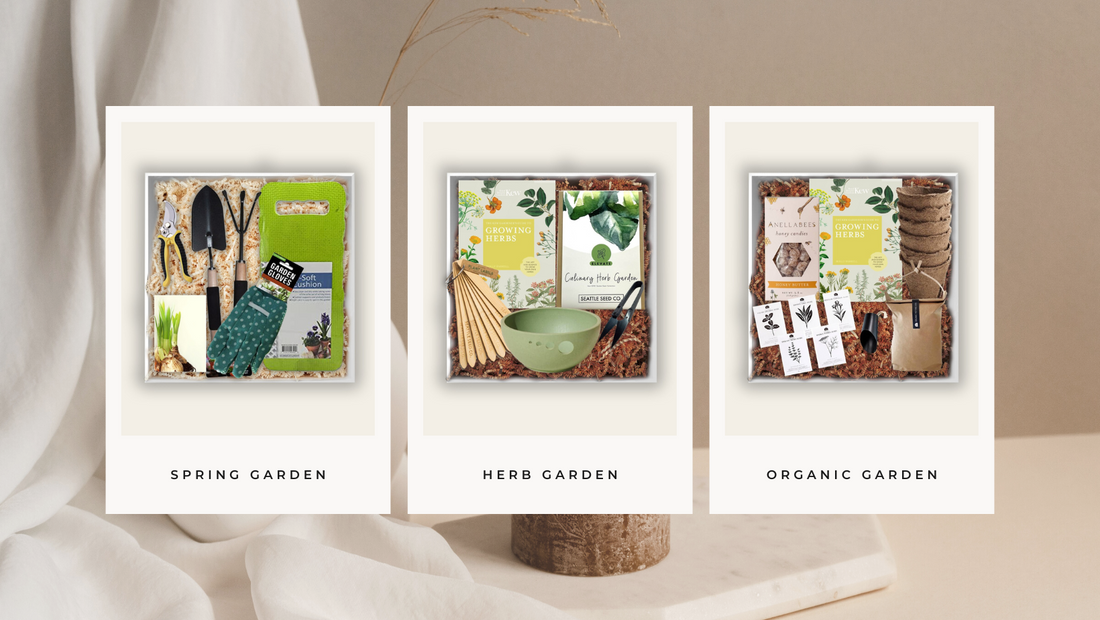 Designing the Perfect Garden-Themed Incentive Gift Box: A Case Study