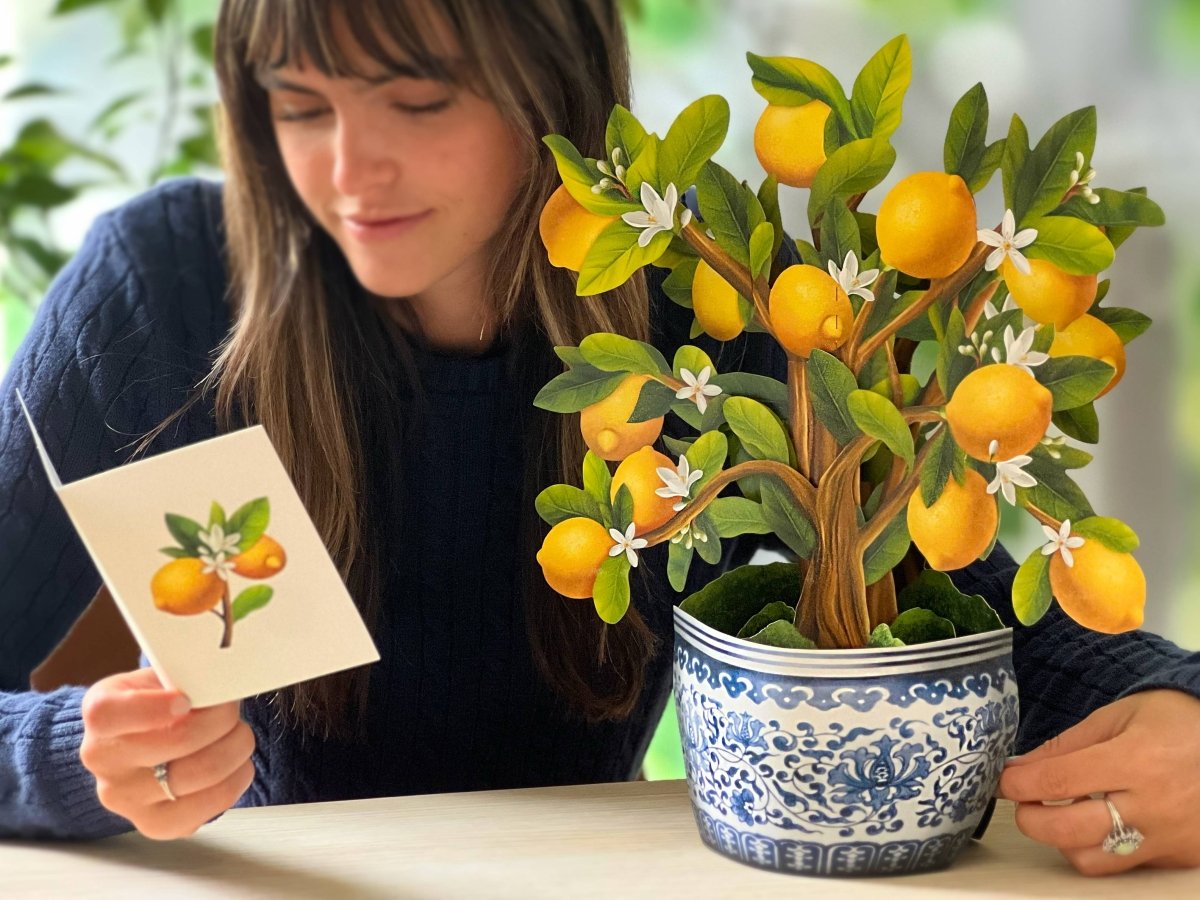 Lemon Blossom Tree Pop - up Greeting Card - category:Home &amp; Decor - 