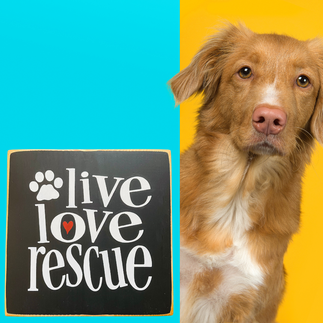 Live Love Rescue Wooden Sign-Handmade