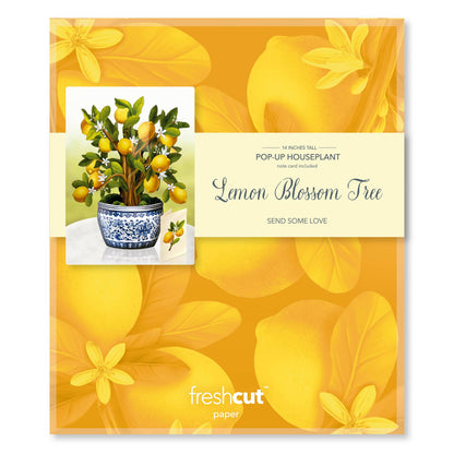 Lemon Blossom Tree Pop-up Greeting Card, perfect for curated gift boxes and Build a Box gifting (lifestyle photo)