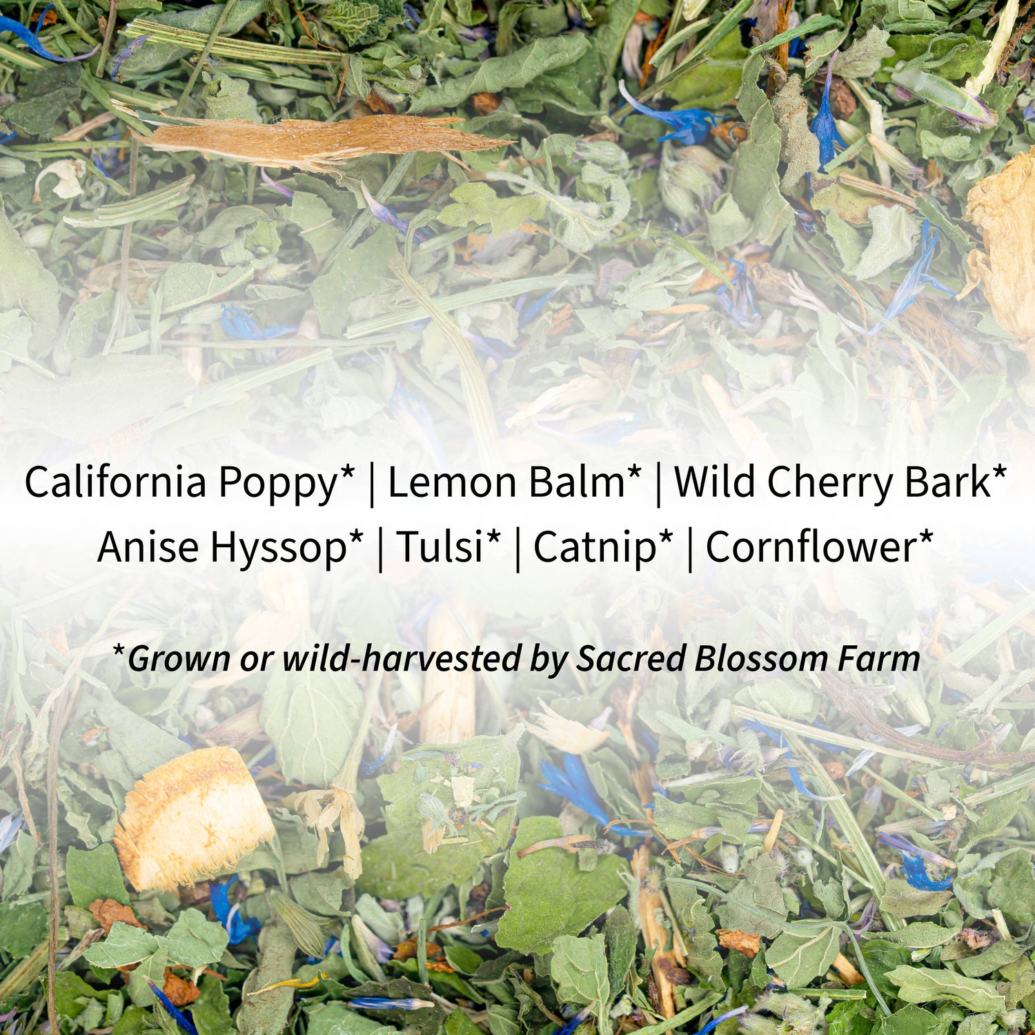 Dream Herbal Tea - Sacred Blossom Farm — loose leaf gourmet tea..., perfect for gift boxes (styled in a curated gift box)
