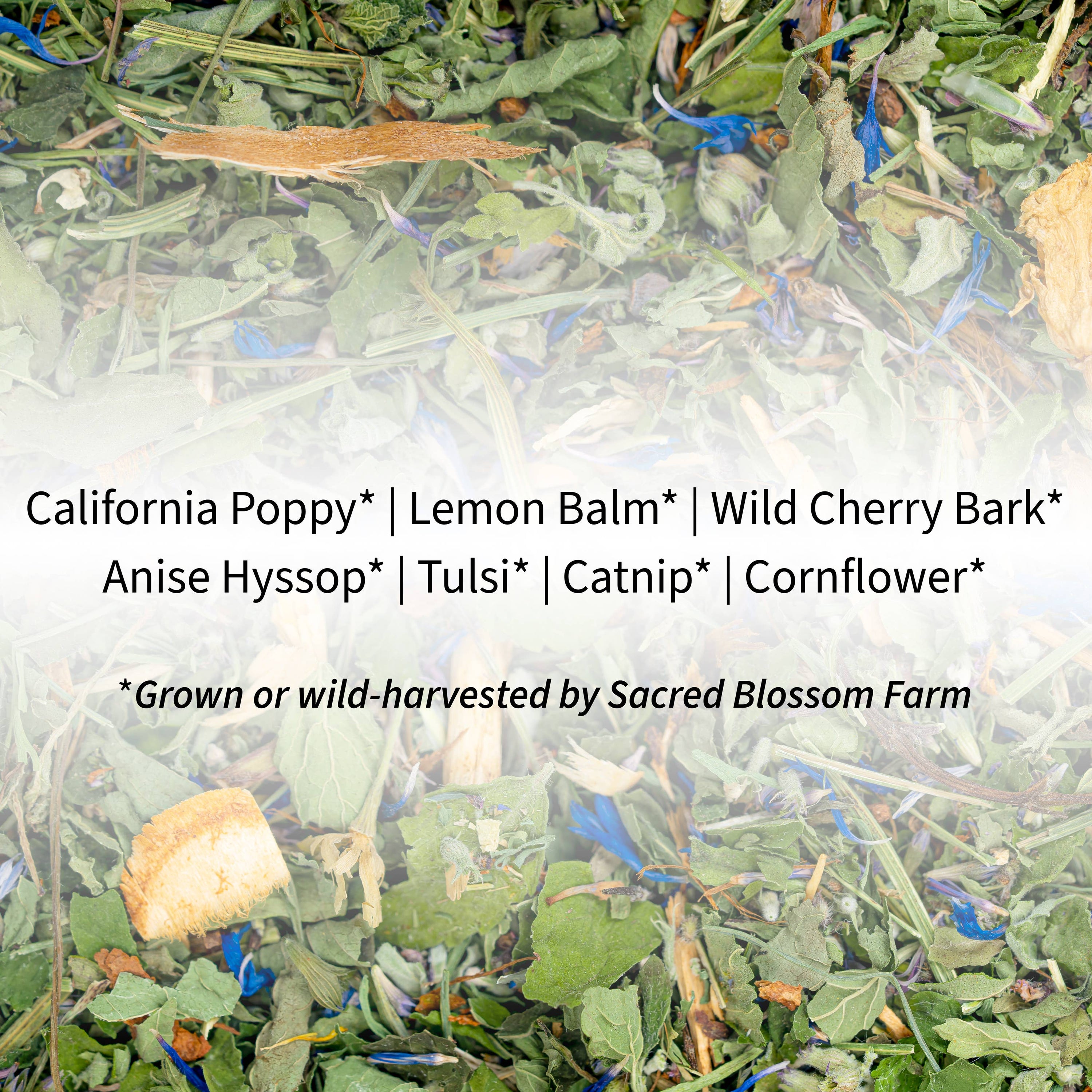 Dream Herbal Tea - Sacred Blossom Farm — loose leaf gourmet tea..., perfect for gift boxes (styled in a curated gift box)