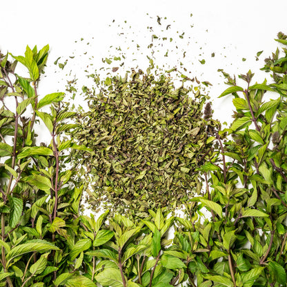 Chocolate Peppermint Herbal Tea — loose leaf gourmet tea, perfect for gourmet gift boxes (styled in a curated gift box)