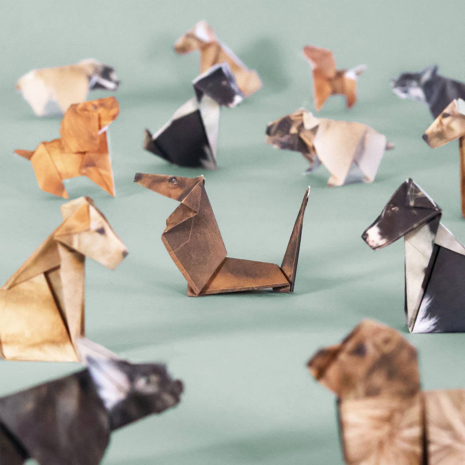 eco-friendly origami kit. A sustainable craft set and perfect gift for dog lovers
