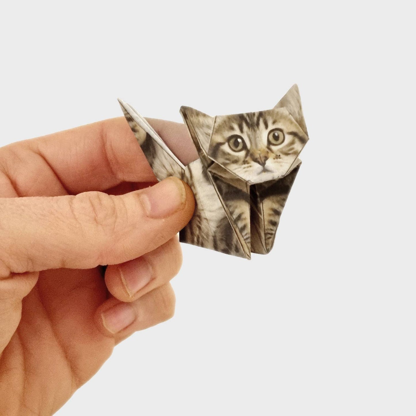 cats eco-friendly origami kit. Made  a perfect gift for cat lovers.
