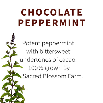 Chocolate Peppermint Herbal Tea — loose leaf gourmet tea, perfect for gourmet gift boxes and curated gift boxes (detail shot)
