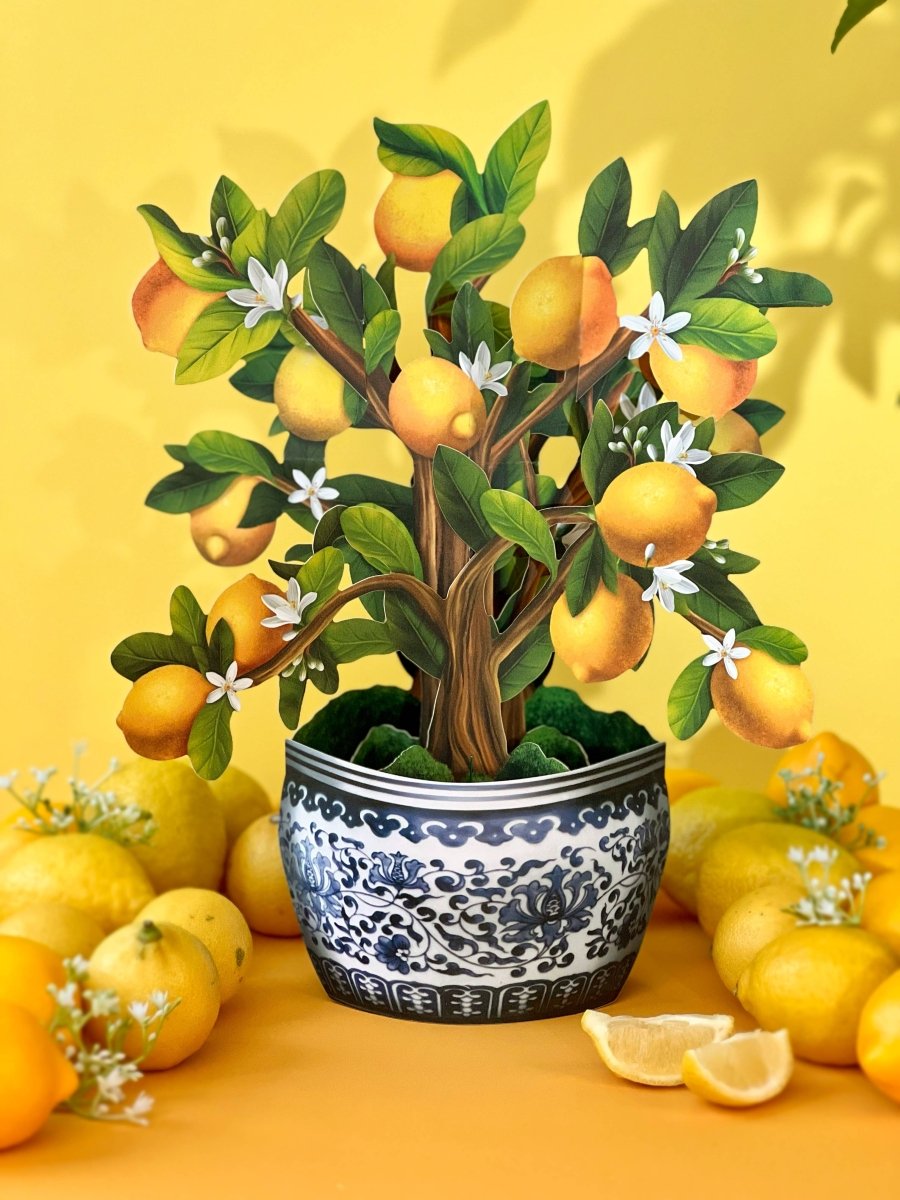 Lemon Blossom Tree Pop - up Greeting Card - category:Home &amp; Decor - 