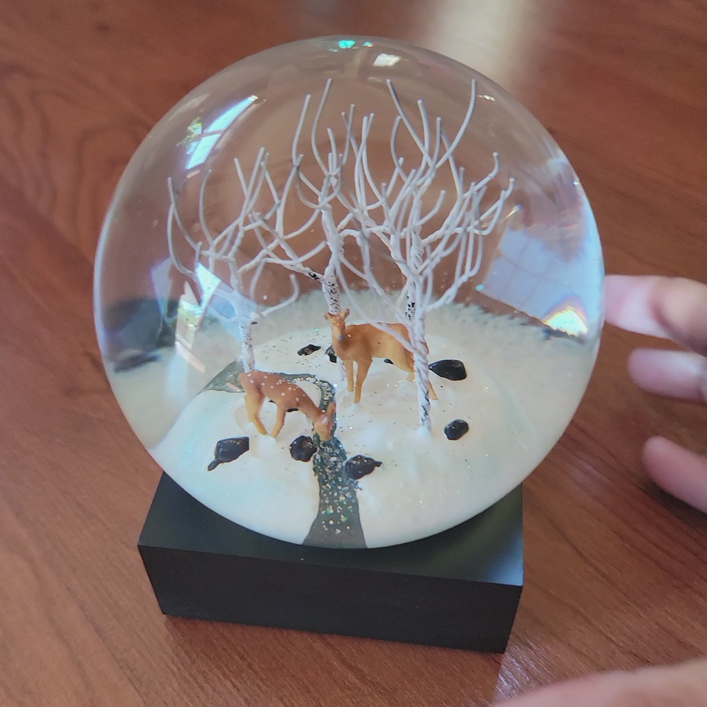 Snow Globe Candy Dome Metal Cutting Die Cut Transparent - Temu