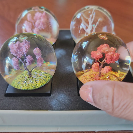 snow globes showing all seasons