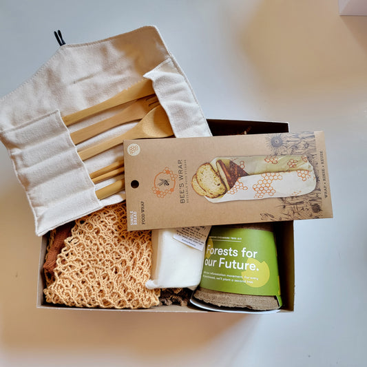 Ecofriendly living starter gift box