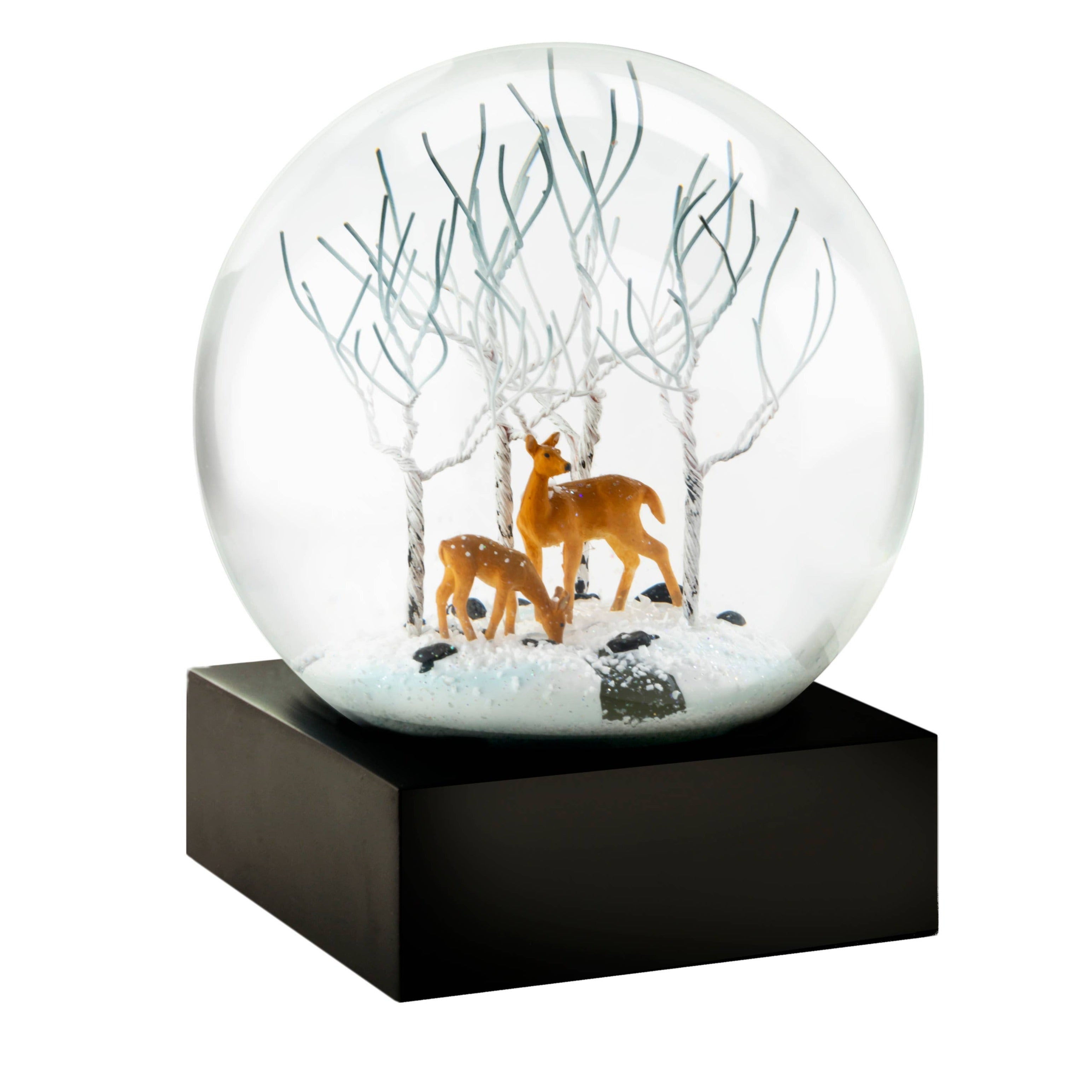 Santa Snow Globe | Bentonville & Rogers (AR) Same-Day Holiday Gifts  Delivered | Shirley's Flower Studio