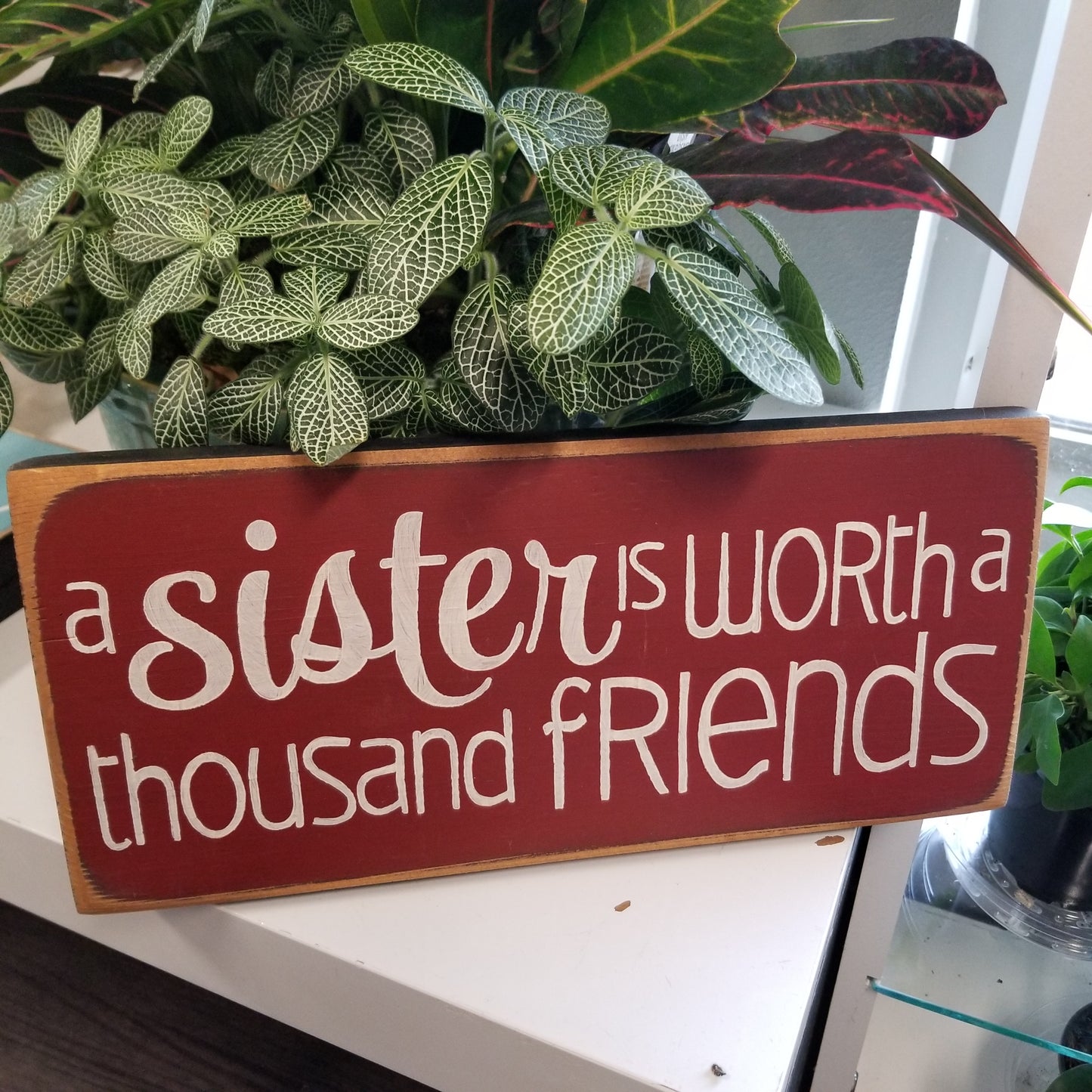 A sister is worth thousand friends