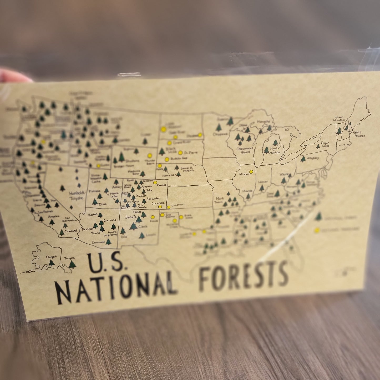 US National Forests Handdrawn Map