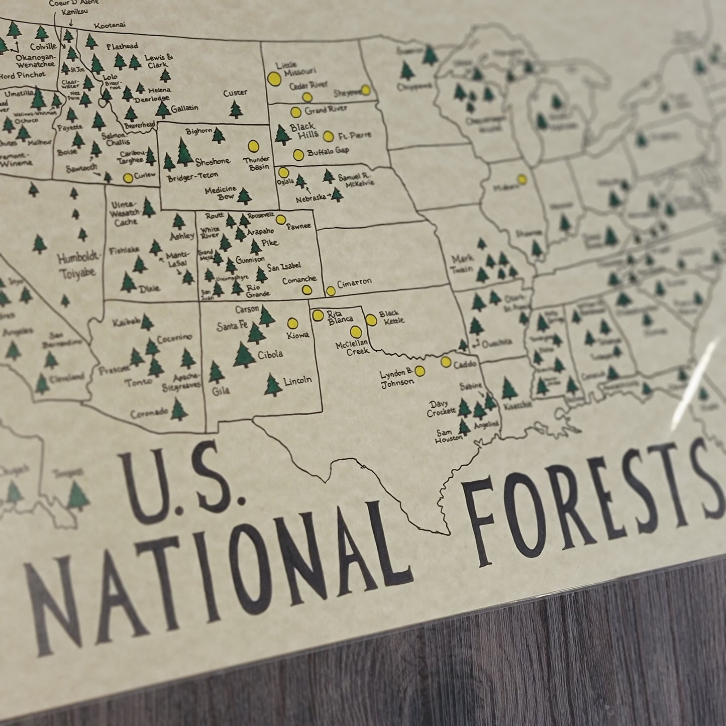 US National forests map