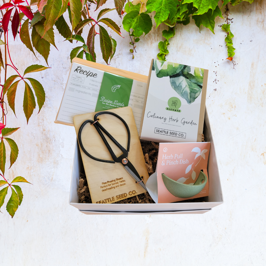 Culinary herb garden gift box