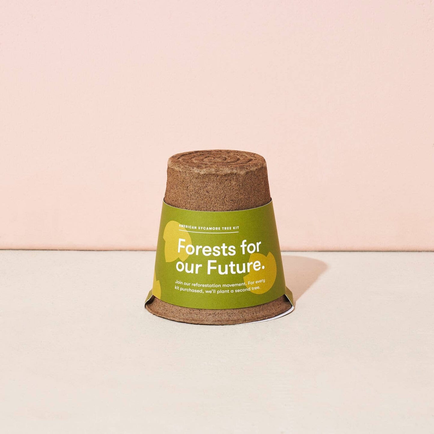 Forest For Future Tree Kit - American Sycamore